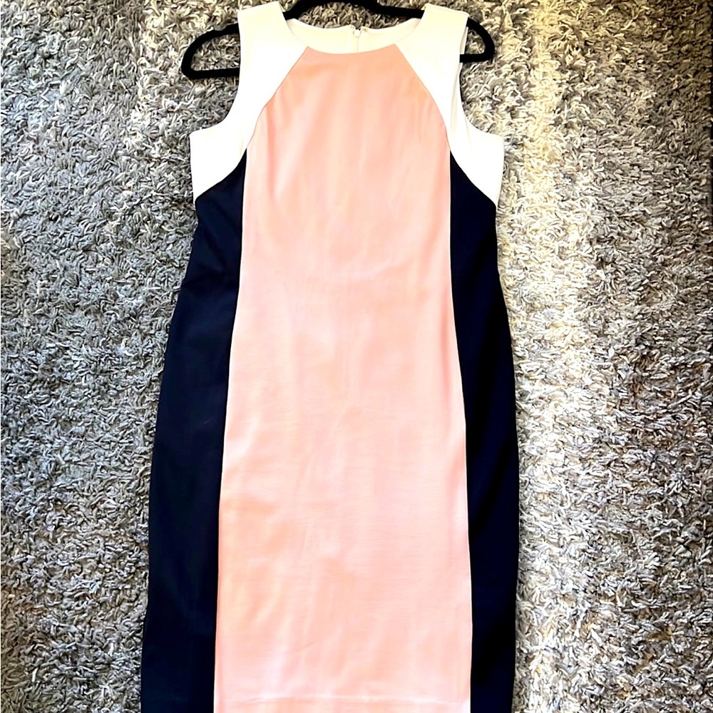 Ann Taylor Pink and Navy Dress